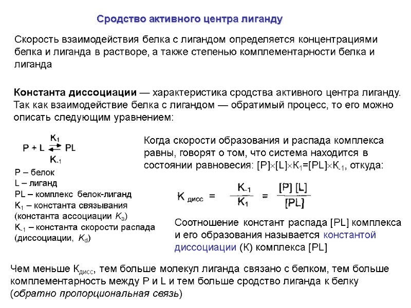 Сродство активного центра лиганду  Скорость взаимодействия белка с лигандом определяется концентрациями белка и